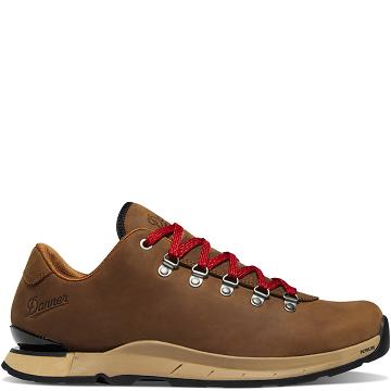 Brown Men's Danner Mountain Overlook Hiking Shoes | SG1449CE