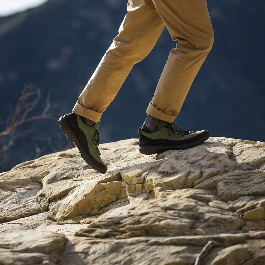 Black / Olive Men's Danner Caprine Low Suede Shoes | SG1357IS