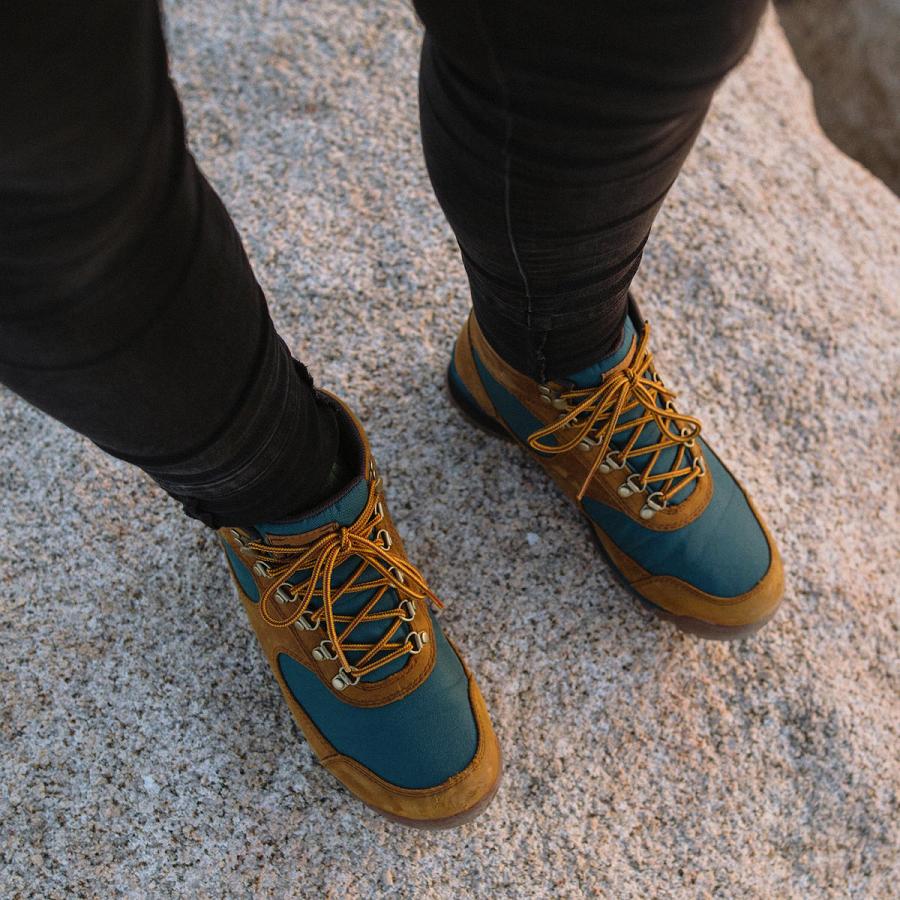 Brown / Deep Turquoise Women's Danner Jag Hiking Boots | SG1089MA