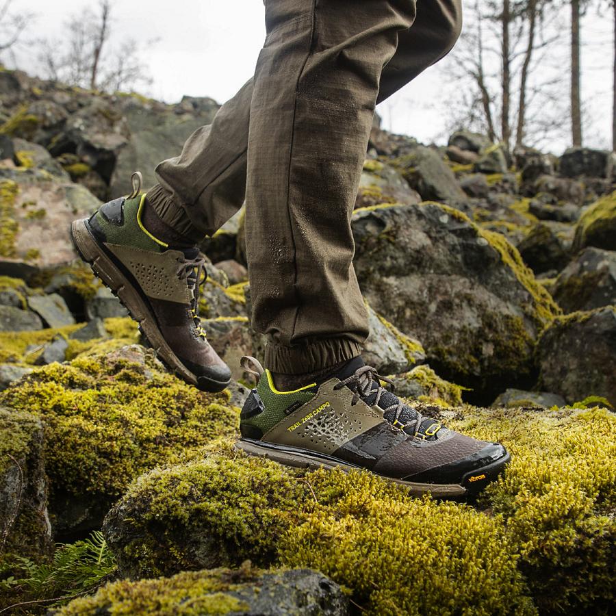 Brown / Green Men's Danner Trail 2650 Campo GTX Hiking Shoes | SG1437PQ