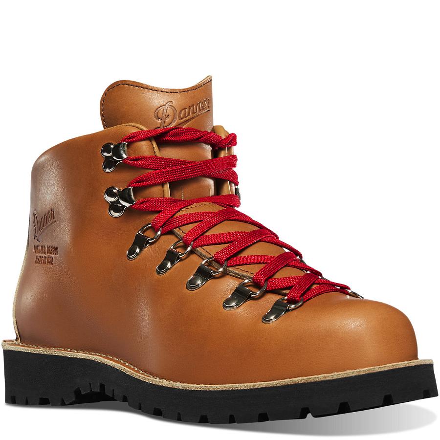 Brown Men's Danner Mountain Light Cascade Hiking Boots | SG1469HK