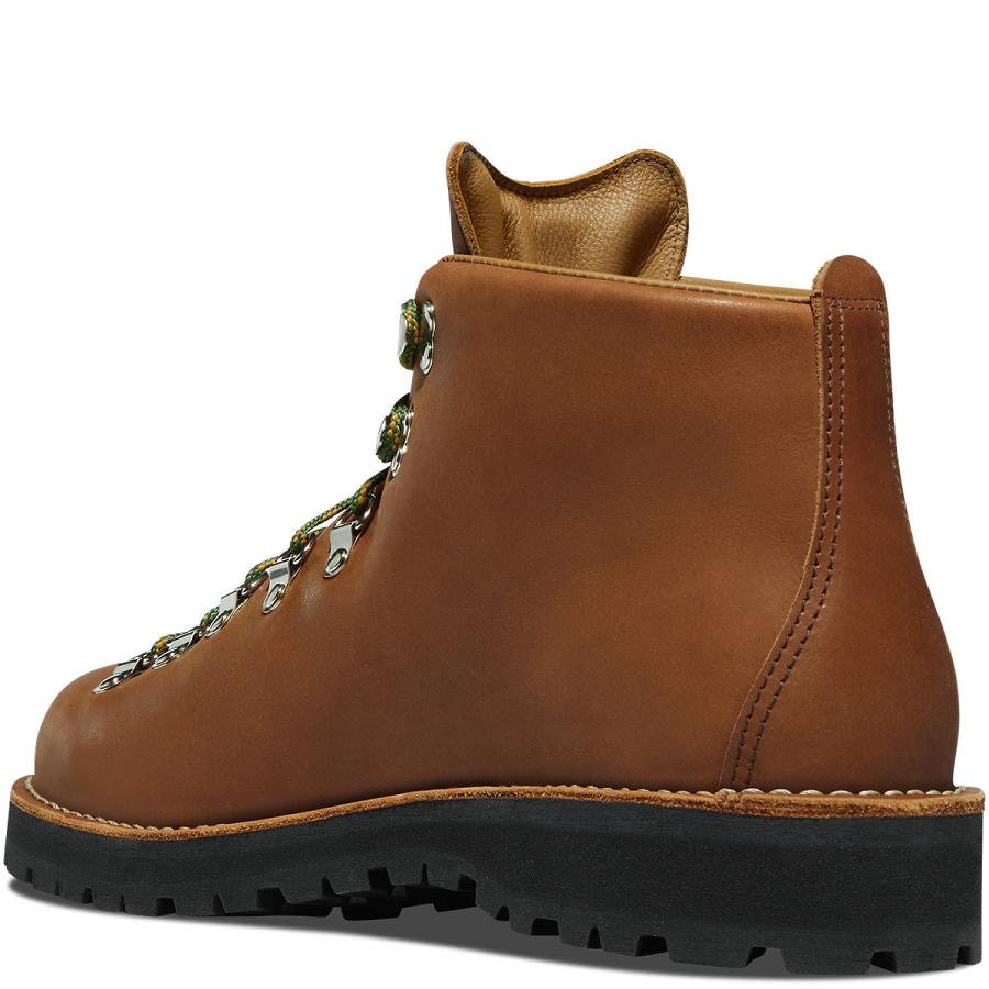 Brown Men's Danner Mountain Light OR State Parks Centennial Work Boots | SG1545FM