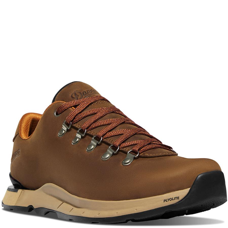 Brown Men's Danner Mountain Overlook Hiking Shoes | SG1449CE