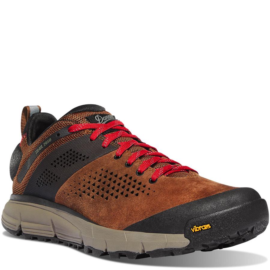 Brown / Red Men's Danner Trail 2650 Shoes | SG1359PQ