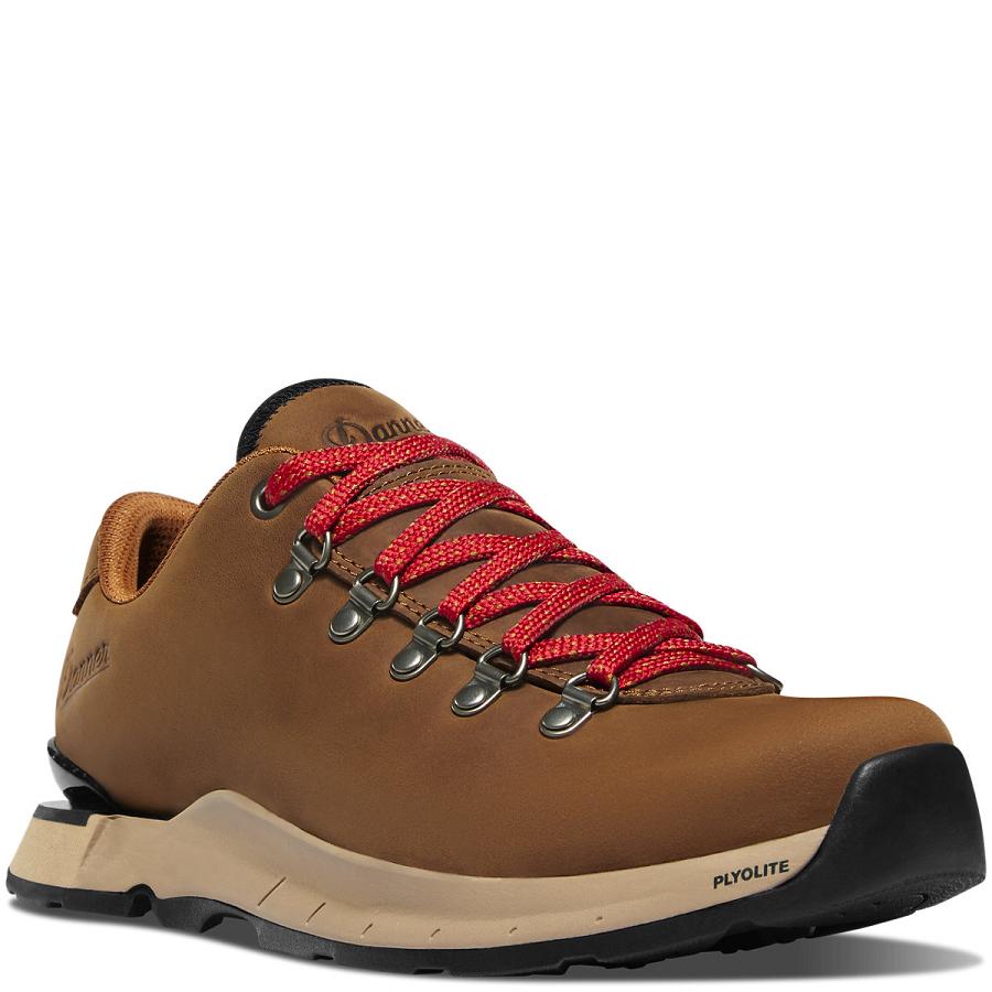 Brown Women's Danner Mountain Overlook Hiking Shoes | SG1042TV