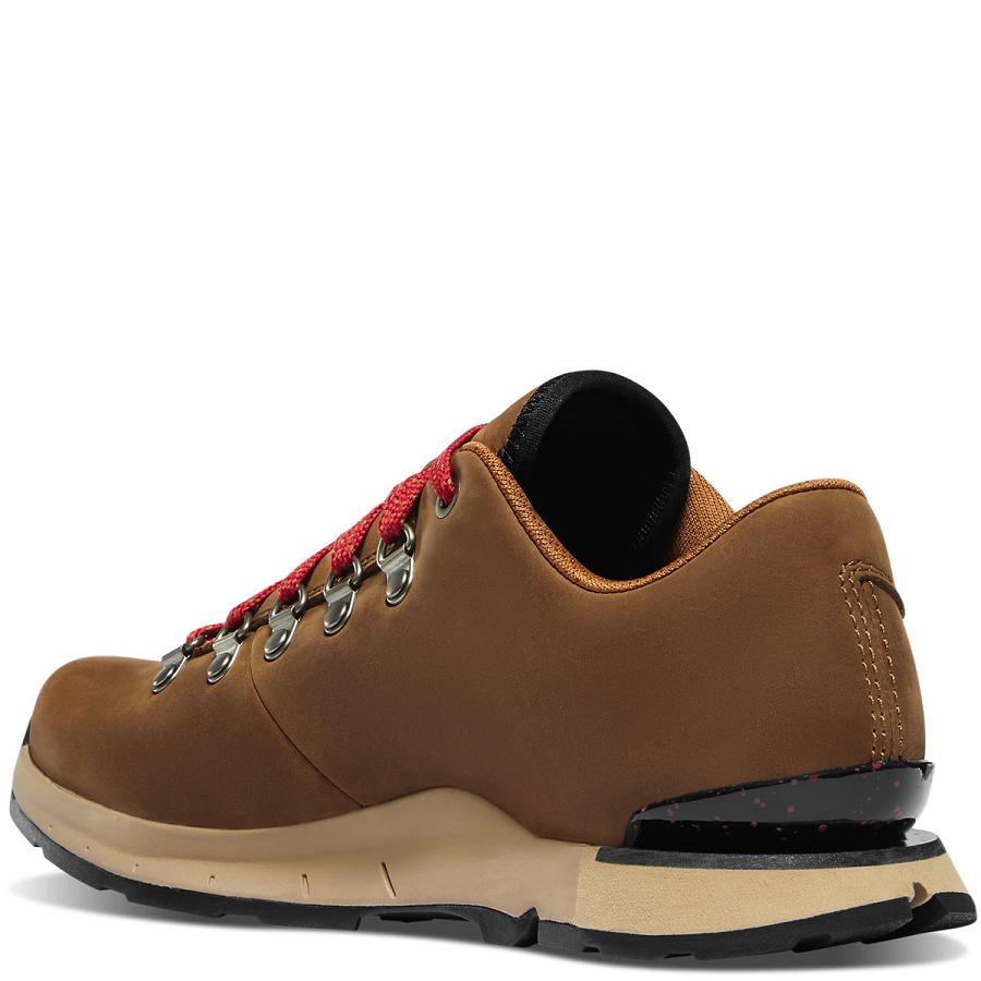 Brown Women's Danner Mountain Overlook Hiking Shoes | SG1042TV