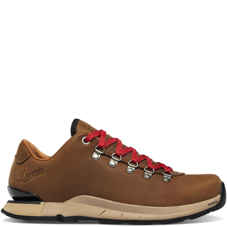 Brown Women\'s Danner Mountain Overlook Hiking Shoes | SG1042TV