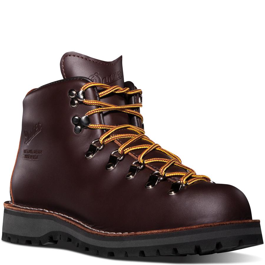 Chocolate Men's Danner Mountain Light - GORE-TEX Hiking Boots | SG1471KI