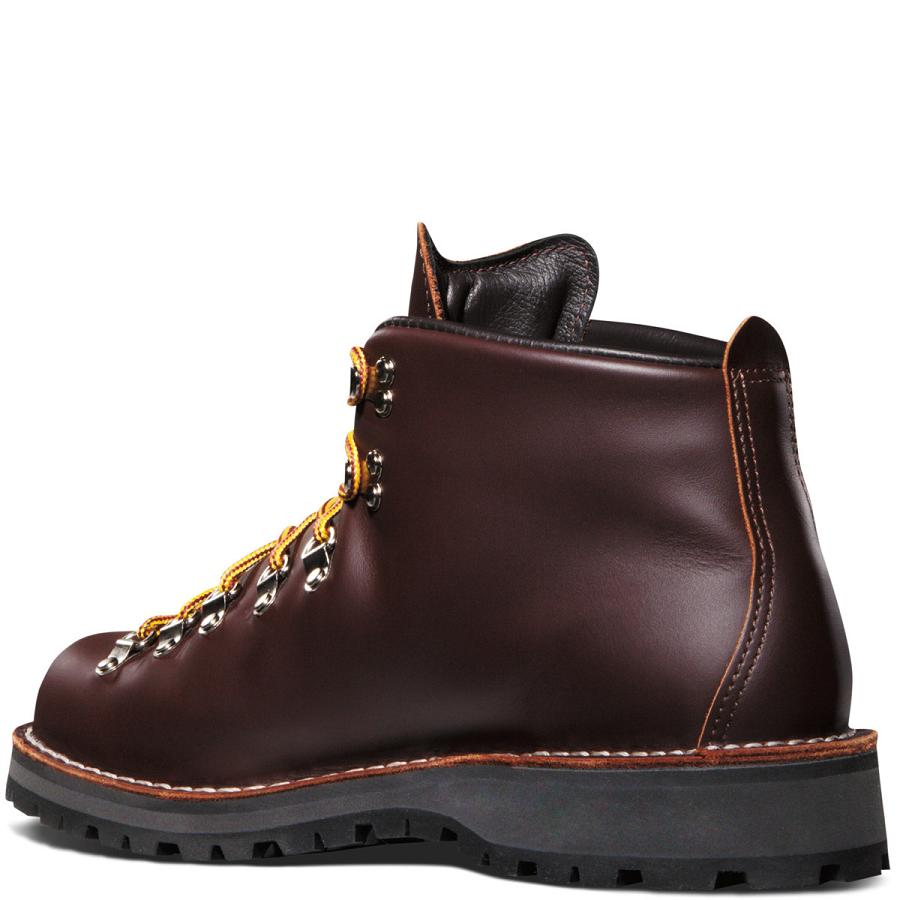 Chocolate Men's Danner Mountain Light - GORE-TEX Hiking Boots | SG1471KI